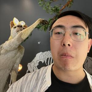 Mr. Song Yan